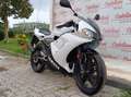 Yamaha TZR 50 YAMAHA TZR 50 ANNO 2008 KM 11.100 Bianco - thumbnail 14