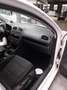 Volkswagen Golf 1.6 GPL 5p. Trendline BiFuel Bianco - thumbnail 13