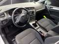 Volkswagen Golf VII 1.2 TSI R-line Weiß - thumbnail 5