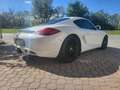 Porsche Cayman Cayman 2.9 Bianco - thumbnail 5