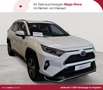 Toyota Blanco - thumbnail 1
