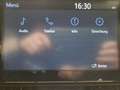 Toyota Blanco - thumbnail 11
