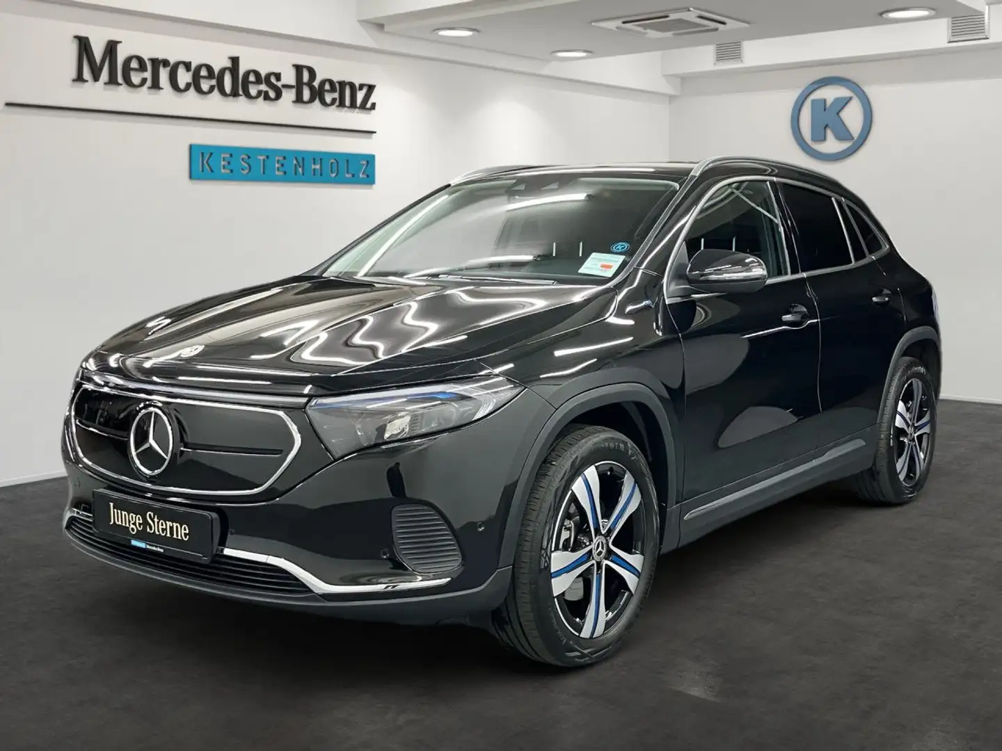 Mercedes-Benz EQA 300 4Matic LED Kamera Laderaump Spurhalt-Ass Schwarz - 2