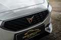CUPRA Leon 1.5 eTSI SFEER/KEYLESS/SPORTMODUS/HULPSYSTEMEN Wit - thumbnail 9
