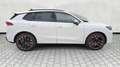 CUPRA Terramar VZ 2.0 TSI DSG 4Drive HUD Matrix 5JGar Bílá - thumbnail 23