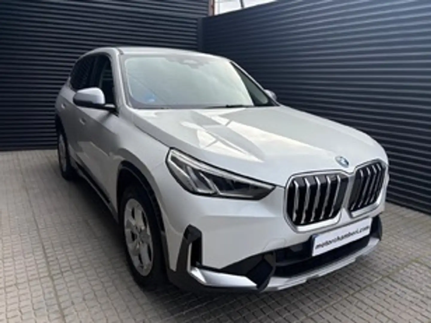BMW X1 xDrive30eA Blanco - 2