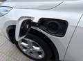 BMW X1 xDrive30eA Blanco - thumbnail 22