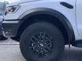 Ford Ranger Raptor Ranger Doppelkabine 4x4 Raptor ANHÄNGELAST 3.500KG Weiß - thumbnail 4