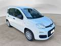 Fiat Panda Panda 1.0 FireFly S&S Hybrid Blanc - thumbnail 6