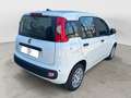 Fiat Panda Panda 1.0 FireFly S&S Hybrid Blanc - thumbnail 5