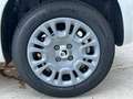 Fiat Panda Panda 1.0 FireFly S&S Hybrid Blanc - thumbnail 15