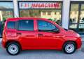 Fiat Panda 1.3 MJT S&S Pop Van 2 posti 63000 KM! Rood - thumbnail 4