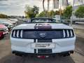 Ford Mustang GT Convertible 5.0 Ti-VCT V8 Premium-P.2 White - thumbnail 13