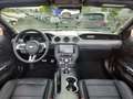 Ford Mustang GT Convertible 5.0 Ti-VCT V8 Premium-P.2 White - thumbnail 11