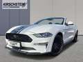Ford Mustang GT Convertible 5.0 Ti-VCT V8 Premium-P.2 Wit - thumbnail 1