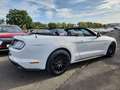 Ford Mustang GT Convertible 5.0 Ti-VCT V8 Premium-P.2 Wit - thumbnail 14