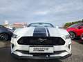 Ford Mustang GT Convertible 5.0 Ti-VCT V8 Premium-P.2 Wit - thumbnail 7