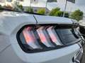 Ford Mustang GT Convertible 5.0 Ti-VCT V8 Premium-P.2 Blanc - thumbnail 16