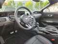 Ford Mustang GT Convertible 5.0 Ti-VCT V8 Premium-P.2 Blanc - thumbnail 4