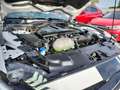 Ford Mustang GT Convertible 5.0 Ti-VCT V8 Premium-P.2 White - thumbnail 5