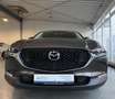 Mazda CX-30 Selection 2WD *LED *Kamera *Navi *Winterp. *Allwet Grau - thumbnail 30