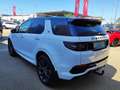 Land Rover Discovery Sport D200 4WD R-Dynamic SE Aut. Weiß - thumbnail 5