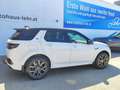 Land Rover Discovery Sport D200 4WD R-Dynamic SE Aut. Weiß - thumbnail 3