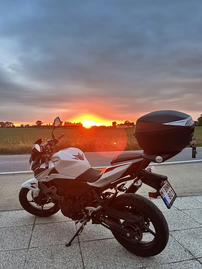 Kawasaki Z 400 Blanco - 1