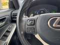 Lexus IS 300 300h F Sport Line | Schuifdak, Trekhaak, Premium N Gris - thumbnail 19
