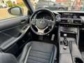 Lexus IS 300 300h F Sport Line | Schuifdak, Trekhaak, Premium N Gris - thumbnail 10