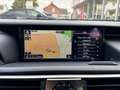 Lexus IS 300 300h F Sport Line | Schuifdak, Trekhaak, Premium N Gris - thumbnail 26