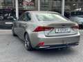 Lexus IS 300 300h F Sport Line | Schuifdak, Trekhaak, Premium N Gris - thumbnail 8