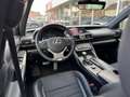 Lexus IS 300 300h F Sport Line | Schuifdak, Trekhaak, Premium N Gris - thumbnail 11