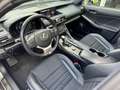 Lexus IS 300 300h F Sport Line | Schuifdak, Trekhaak, Premium N Gris - thumbnail 14