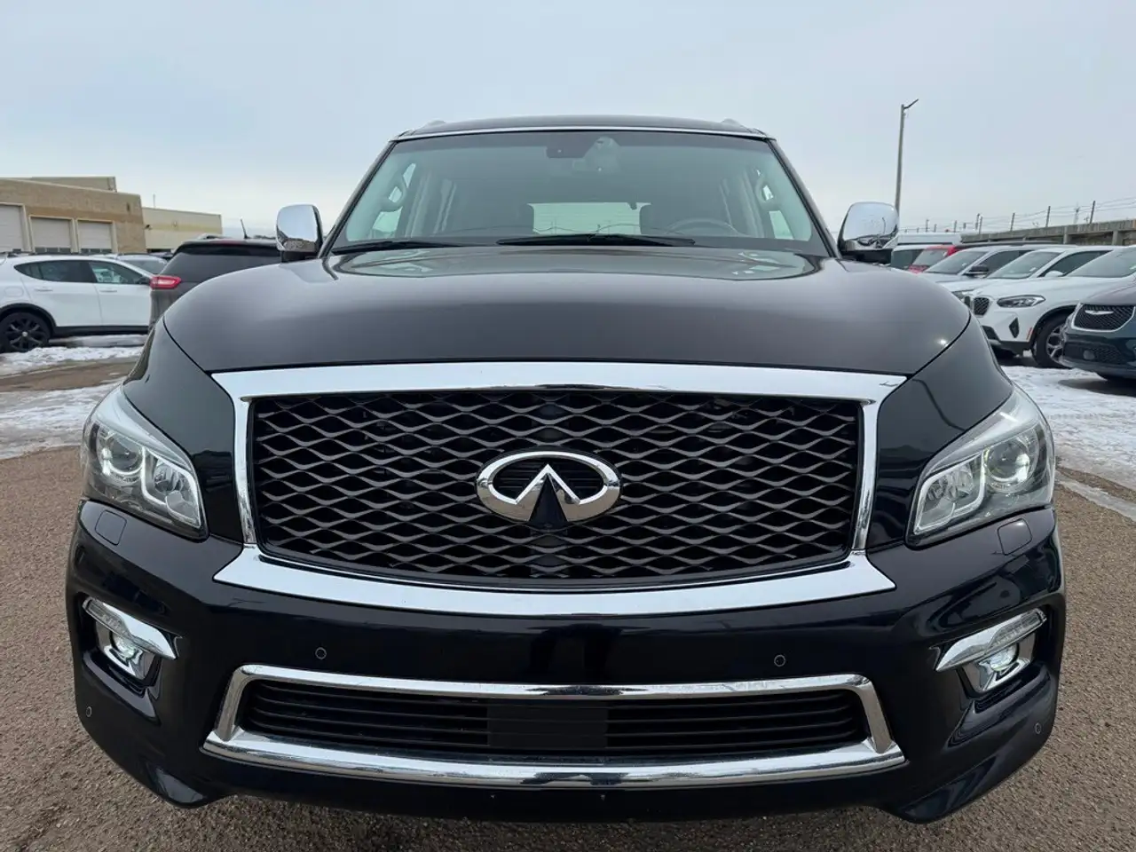 Infiniti QX80 снимка Infiniti QX80