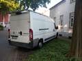 Fiat Ducato Ducato L2H2 Weiß - thumbnail 4