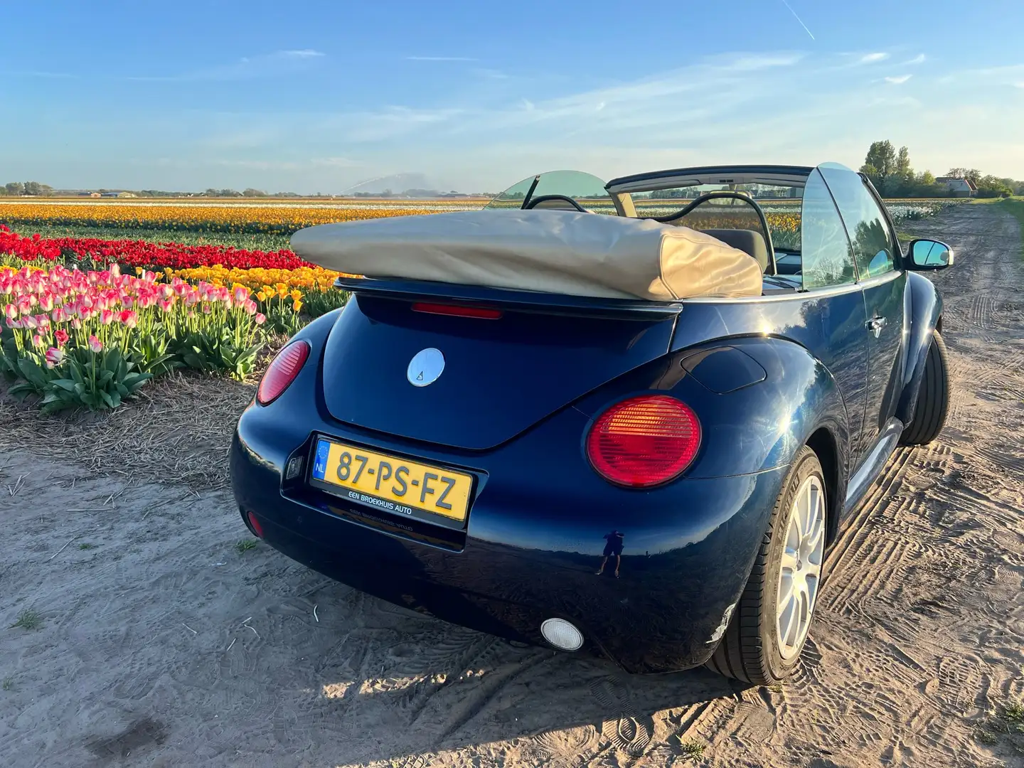 Volkswagen New Beetle 1.6 Blauw - 2