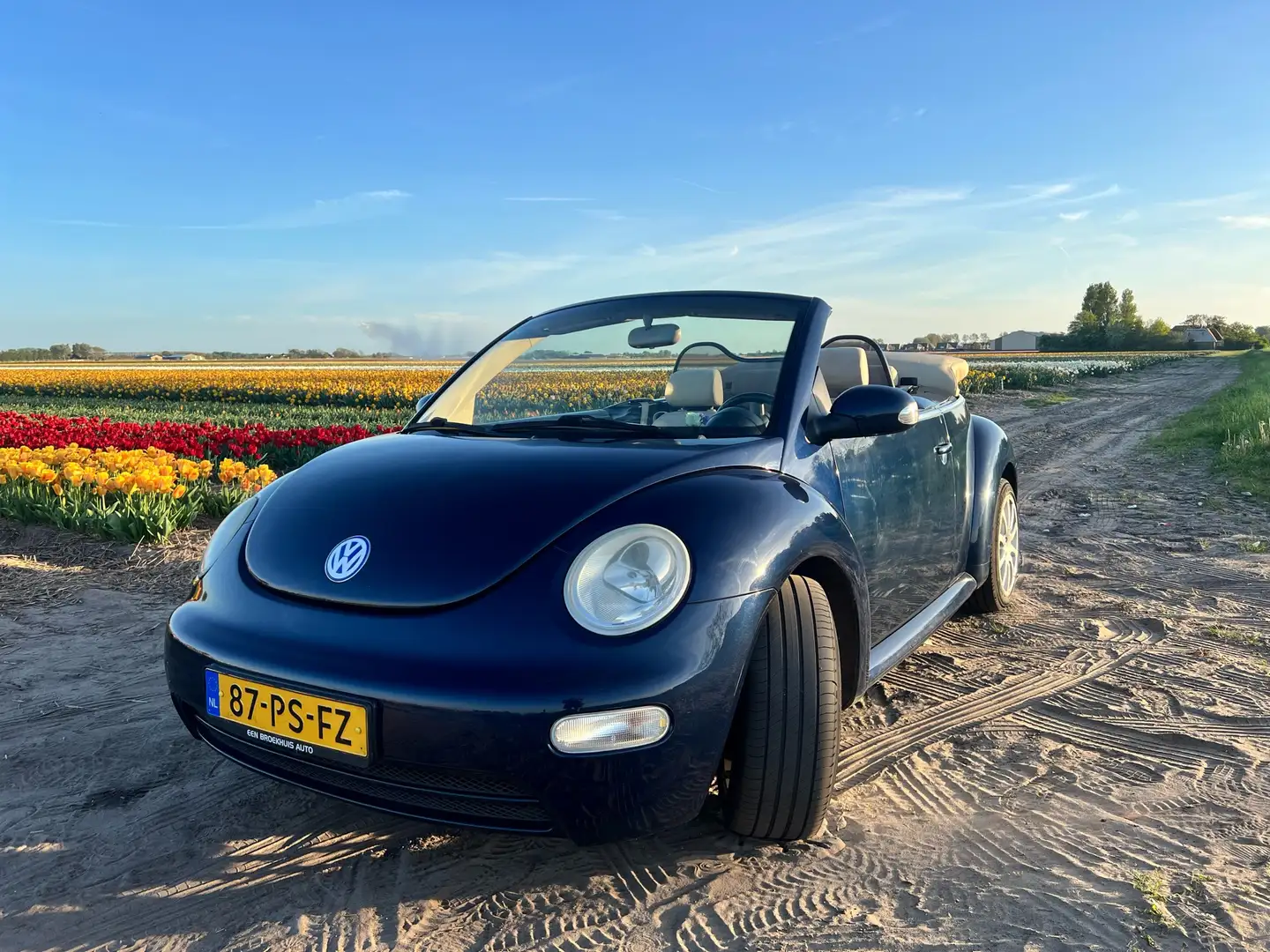 Volkswagen New Beetle 1.6 Blauw - 1