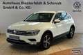 Volkswagen Tiguan 2.0TDI Highline Standh 4M AHK RFK LED SZH Klima Blanco - thumbnail 1