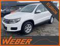 Volkswagen Tiguan Trend & Fun 1.4 TSI BMT Klima AHK Blanc - thumbnail 1