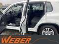 Volkswagen Tiguan Trend & Fun 1.4 TSI BMT Klima AHK Blanc - thumbnail 8