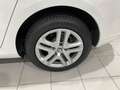 Renault Megane BUSINESS 1.3 TCE 115 CV 5P Wit - thumbnail 7