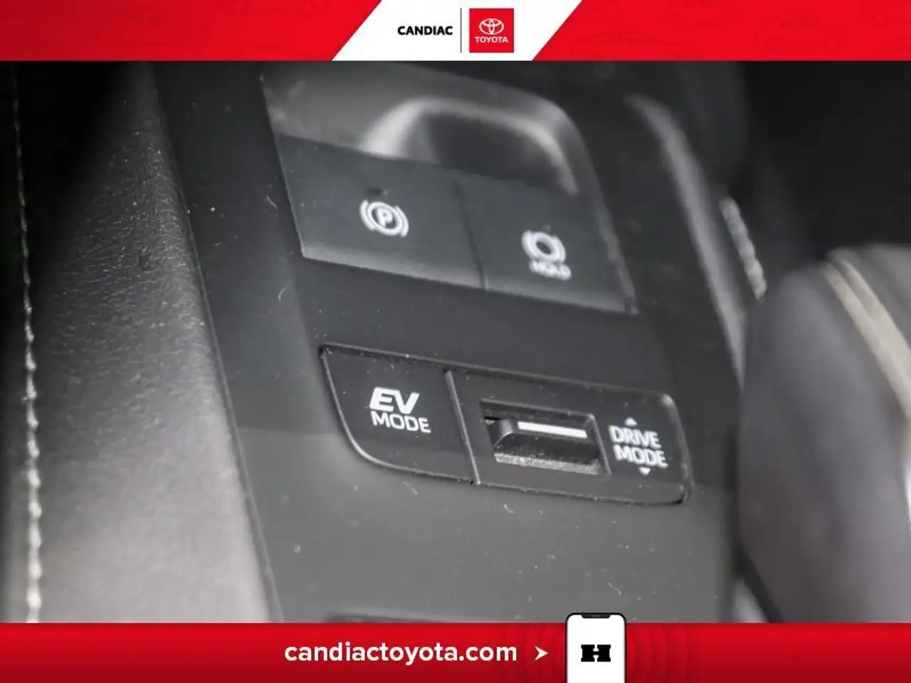 Toyota Venza photo Toyota Venza