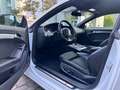 Audi S5 Cabrio 3.0 TFSI quattro Tiptronic White - thumbnail 14