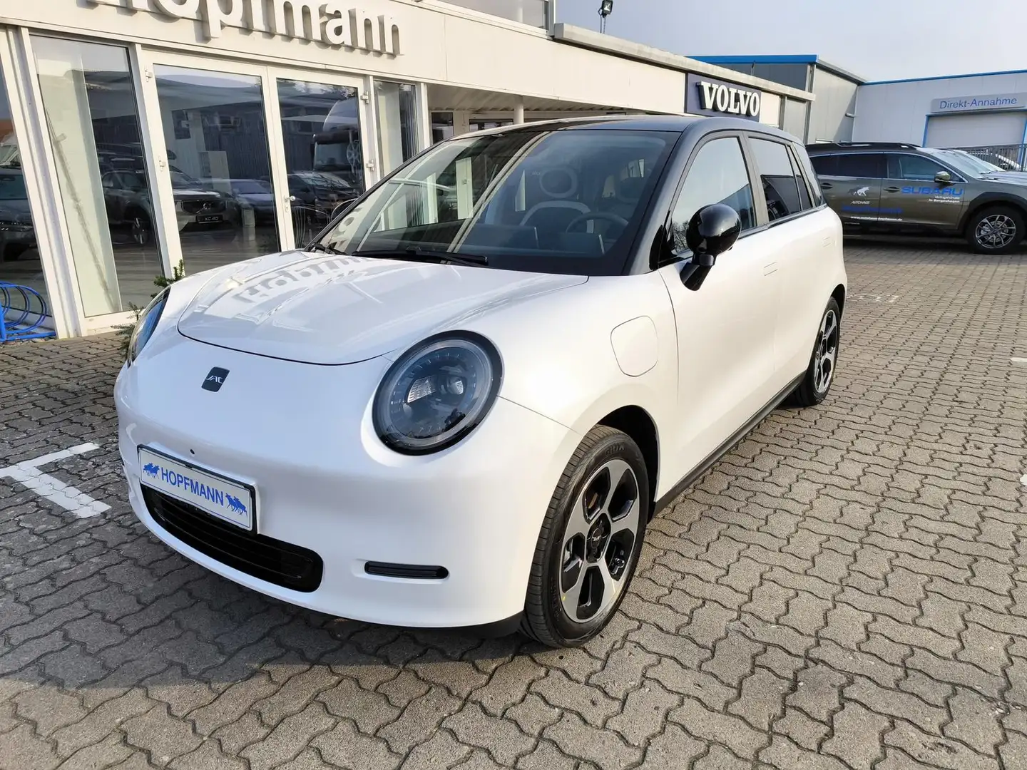 JAC Sonstige E30 X Nordic Edition 50 - 1