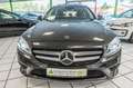 Mercedes-Benz C 220 T-Modell Avantgarde Panorama  Automatik Grün - thumbnail 4