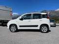 Fiat Panda 0.9 TwinAir Turbo Lounge Erdgas Weiß - thumbnail 5