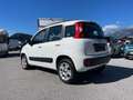 Fiat Panda 0.9 TwinAir Turbo Lounge Erdgas Weiß - thumbnail 6