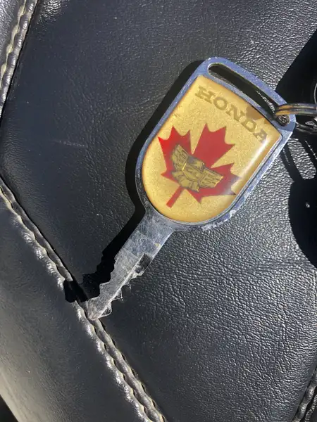 Honda Gold Wing - foto 2