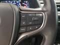 Lexus UX 250h Business 2WD Blanco - thumbnail 12